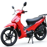 Curved Beam Electric Motorcycle Economic Factory Direkte salg